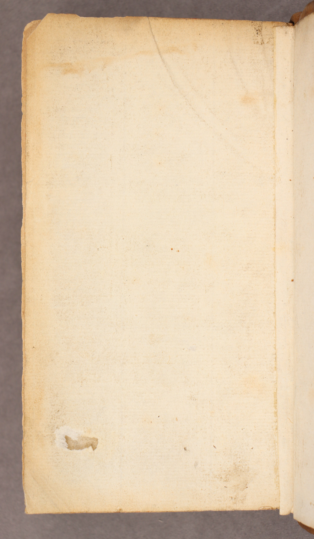 endleaf verso